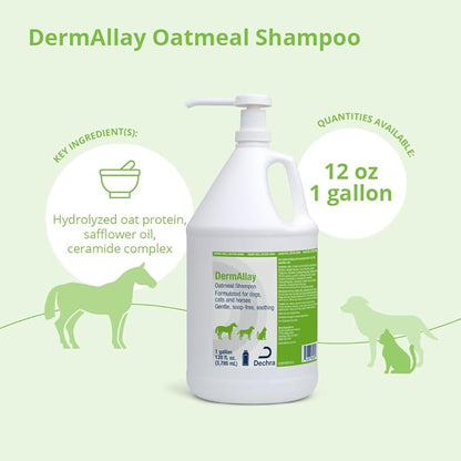 Oatmeal Shampoo for Dogs, Cats and Horses, 1 Gallon