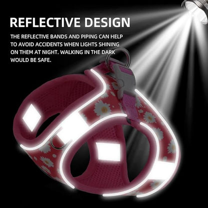 Step in Dog Harness and Leash Set, Flower Adjustable Easy Walk Puppy Harnesses, Soft Mesh Pet Vest Harness Small Size Dog Adjustable No Pull Dog Harness for Small Medium Dogs(Dinosaur1, S)