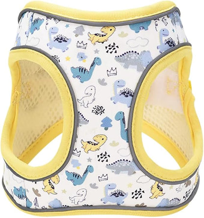 Step in Dog Harness and Leash Set, Flower Adjustable Easy Walk Puppy Harnesses, Soft Mesh Pet Vest Harness Small Size Dog Adjustable No Pull Dog Harness for Small Medium Dogs(Dinosaur, S)