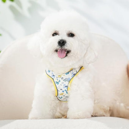 Step in Dog Harness and Leash Set, Flower Adjustable Easy Walk Puppy Harnesses, Soft Mesh Pet Vest Harness Small Size Dog Adjustable No Pull Dog Harness for Small Medium Dogs(Dinosaur, M)