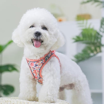 Step in Dog Harness and Leash Set, Flower Adjustable Easy Walk Puppy Harnesses, Soft Mesh Pet Vest Harness Small Size Dog Adjustable No Pull Dog Harness for Small Medium Dogs(Pink, XS)