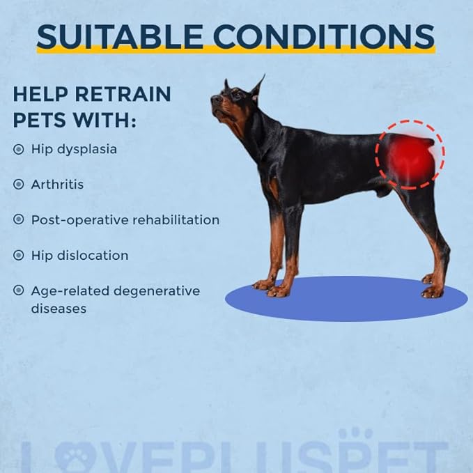 Breathable Dog Hip Support Brace for Large Dogs, Adjustable Canine Orthopedic Brace for Hip Dysplasia, Perfect for Supporting Dobermans(M)