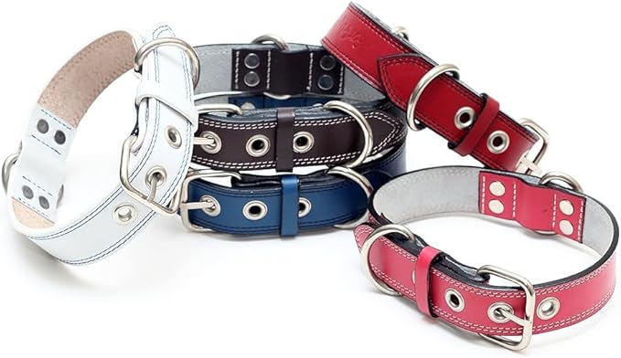Genuine Leather Dog Collars with Stainless Steel Buckle and Double D Rings– Unbreakable! (21"-24", Tan)