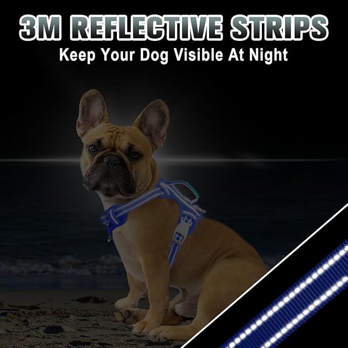 BARKBAY No Pull Dog Harness Large Reflective Dog Harness with Front Clip and Easy Control Handle for Walking Training Running with ID tag Pocket(Sapphire Blue,XS)