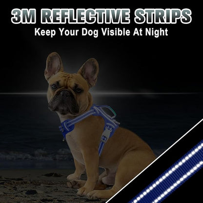 BARKBAY No Pull Dog Harness Large Reflective Dog Harness with Front Clip and Easy Control Handle for Walking Training Running with ID tag Pocket(Sapphire Blue,XS)