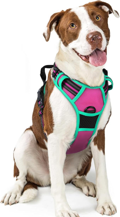 rabbitgoo Dog Harness No Pull with 2 Leash Clips, Adjustable Soft Padded, Reflective Oxford No Choke Pet Vest with Easy Control Handle for Large Dogs, Hot Pink & Turquoise, L