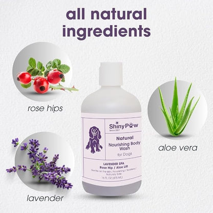 Lavender Shampoo Spa Essentials Nourishing Dog Body Wash 16 oz by Shiny Paw | Anti Itch Shampoo for Dogs | Dog Bath Coat Cleansing for Dogs | Made in The USA