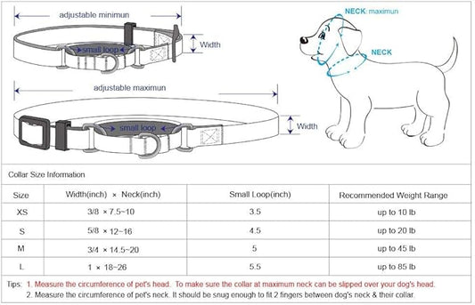 Blueberry Pet Essentials Martingale Safety Training Dog Collar, Lavender, Small, Heavy Duty Nylon Adjustable Collars for Dogs