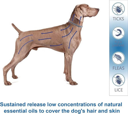 Natural Ingredients Flea Collar for Large Dogs,Safe and Effective Flea and Tick Collar, Waterproof,8 Months Protection Each,Free Comb and Tick Scoop,27.5 Inches,2-Pack