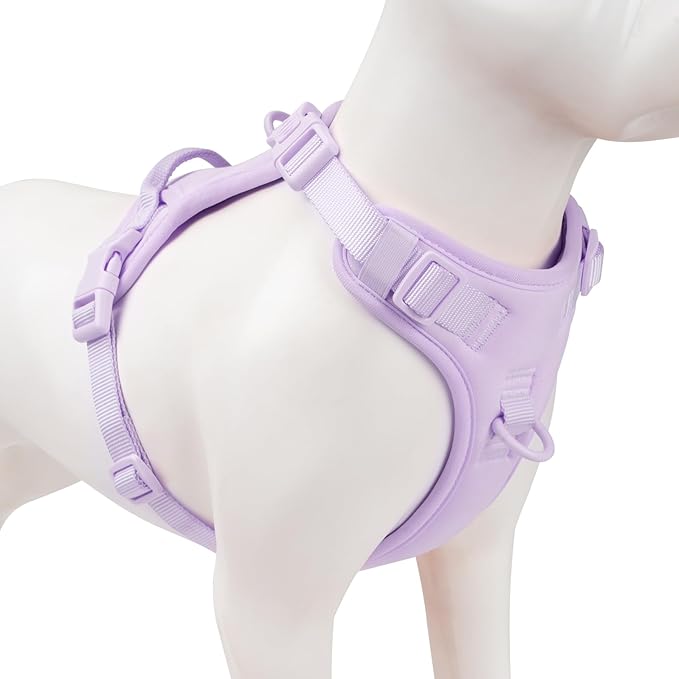 No Pull Dog Harness, Puppy Vest with Front Clip for Small Medium Large Sized Dog(Light Purple,S)
