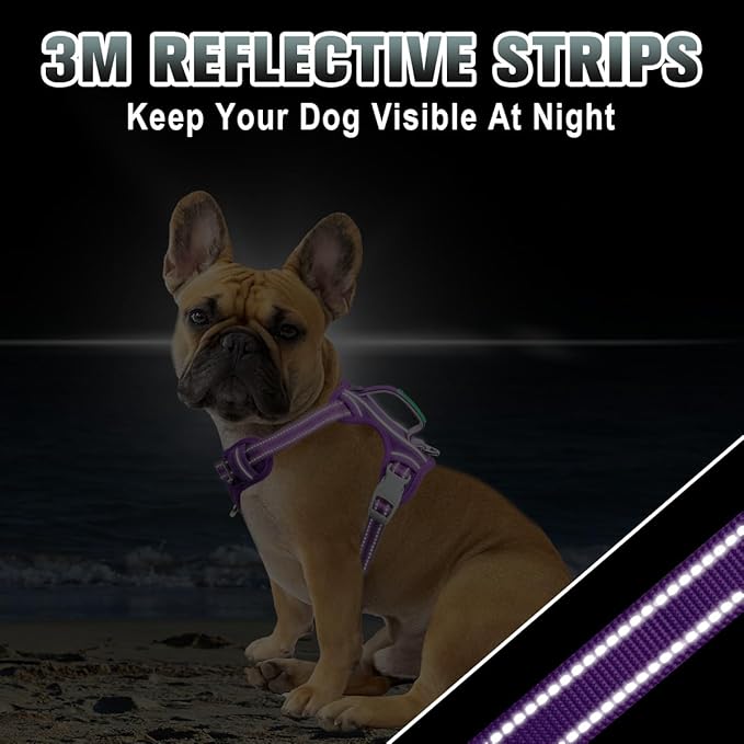 BARKBAY No Pull Dog Harness Large Reflective Dog Harness with Front Clip and Easy Control Handle for Walking Training Running with ID tag Pocket(Purple,XS)