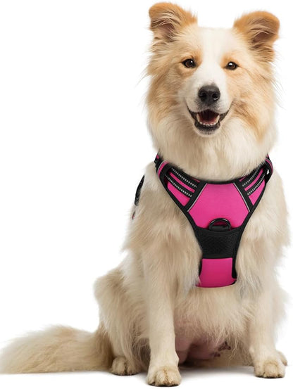 rabbitgoo Dog Harness No Pull with 2 Leash Clips, Adjustable Soft Padded, Reflective Oxford No Choke Pet Vest with Easy Control Handle for Medium Sized Dogs, Hot Pink, M