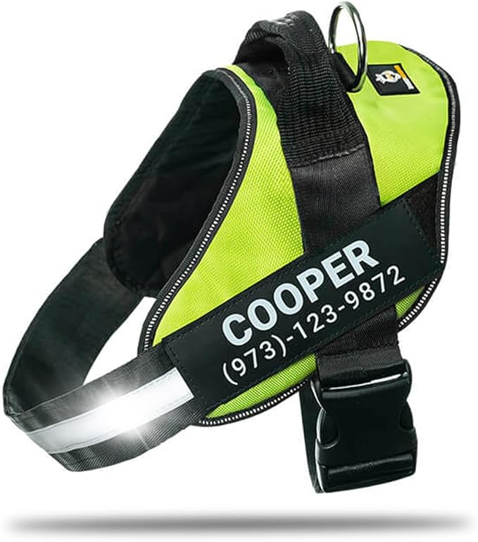 Personalized No-Pull Dog Harness with Name Patch, Adjustable, Reflective, Padded, Heavy Duty Pet Vest to Prevent Tugging, Pulling, or Choking, Training and Walking, Green, M