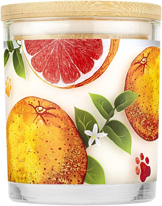 Pet House 9 oz Ruby Red Grapefruit Scented Pet Odor Candle, Clean Burning, Long Lasting, Plant Based Spring, Summer Scented Soy Candles, 60 Hour Burn Time, Pack of 2