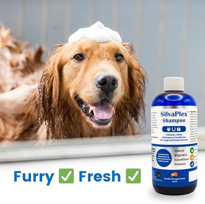 Ag21 Professional Chelated Silver Pet Shampoo & Conditioner - UV Protection, Coat Enhancing Formula for Dogs, Cats & Horses - Vet Recommended, Made in USA (16 oz)