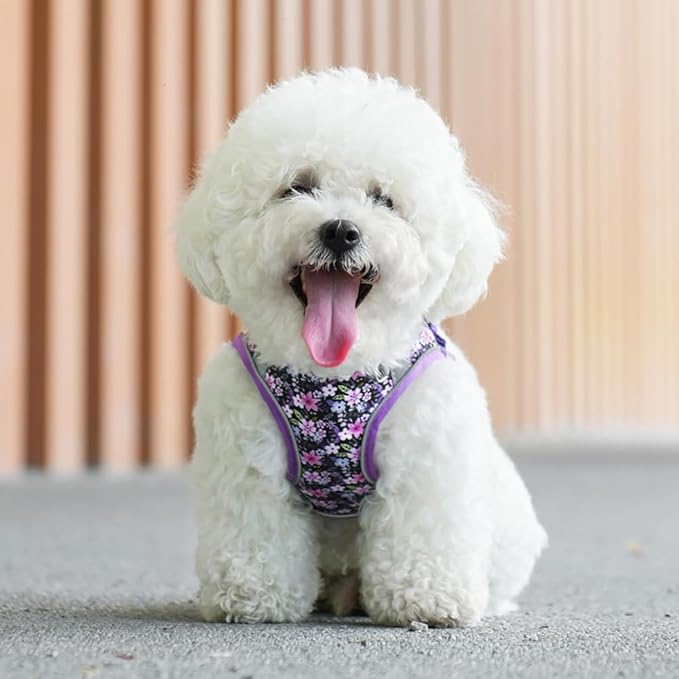 Step-in Dog Harness and Leash Set, Purple, Small/Medium, Floral Pattern, 360-Degree Reflective Design for Low Light Safety