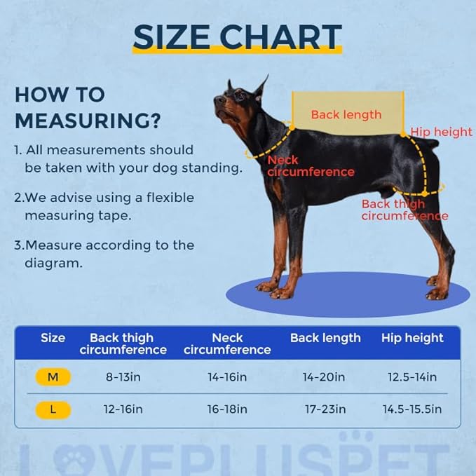 Breathable Dog Hip Support Brace for Large Dogs, Adjustable Canine Orthopedic Brace for Hip Dysplasia, Perfect for Supporting Dobermans(M)