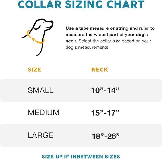 Embark Urban Dog Collar – Dog Collar Stylish & Durable Nylon Dog Collar for Large Dogs, Small Dogs & Medium Dogs.Comfortable Pet Collar Strong Buckles for Any Size Breed (Boho, Large)