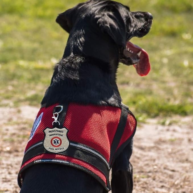 “Registered Service Dog” Identification Patch Tag | Clips on Service Dog Vest, Harness, Collar, Leash or Carrier | Includes Five Service Dog Handout Cards