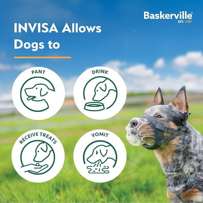 Baskerville INVISA Basket Dog Muzzle - Patented Humane Design with Facial Visibility, Padded Nose Band, Dog can Pant and Drink, Prevents Biting and Scavenging. Muzzle for Medium-sized Dogs (Size 3)