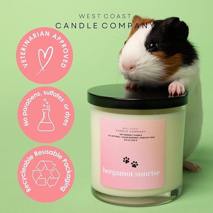 Pet Friendly Wax Melts | Pet Safe Wax Melts | All Natural Dog Safe Wax Melts | Non-Toxic Wax Melts | Pet Odor Eliminator | Pure Soy Wax Melts | Veterinarian Approved (Melon)