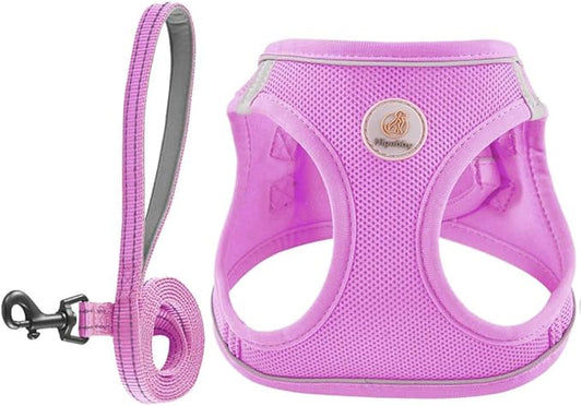 Dog Harness and Leash Set, No Pull Soft Mesh Puppy Harness for Small Medium Dogs, Cats - Step in Reflective Breathable Lightweight Vest Harness for Walking, Training - Purple, S