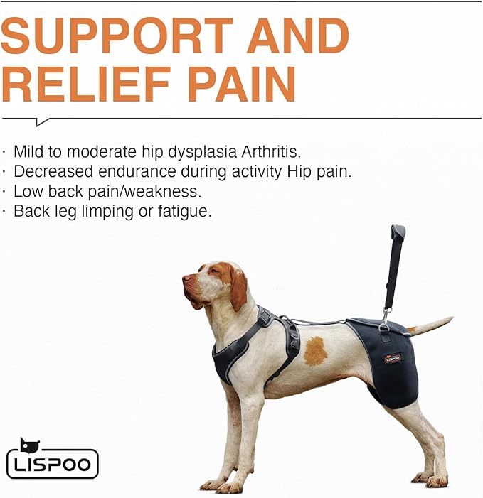Dog Hip Support Brace - Adjustable Dog Leg Brace for Hip Dysplasia/Arthritis/Pain Relief, Warm & Breathable Luxating Patella Stabilizer, Post-Surgery Recovery(Size XXL)