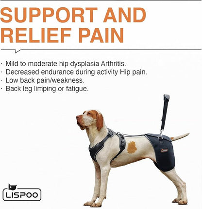 Dog Hip Support Brace - Adjustable Dog Leg Brace for Hip Dysplasia/Arthritis/Pain Relief, Warm & Breathable Luxating Patella Stabilizer, Post-Surgery Recovery(Size XXL)