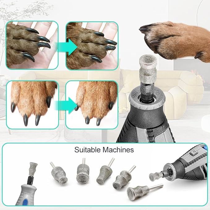 Dog Nail Grinder Bits - 1/8" Pet Nail Grinder Wheel for Dogs and Cats, Animal Diamond Rotary Bit for Home Grooming Tools and Animal Nail Care