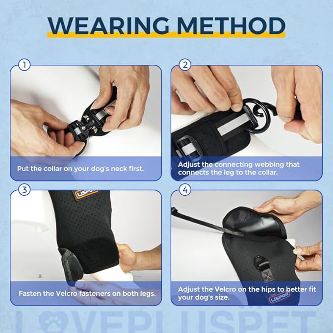 Breathable Dog Hip Support Brace for Large Dogs, Adjustable Canine Orthopedic Brace for Hip Dysplasia, Perfect for Supporting Dobermans(L)