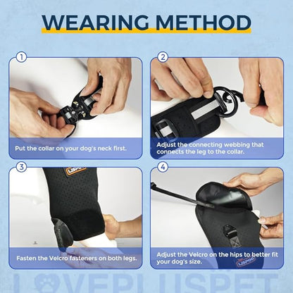 Breathable Dog Hip Support Brace for Large Dogs, Adjustable Canine Orthopedic Brace for Hip Dysplasia, Perfect for Supporting Dobermans(M)