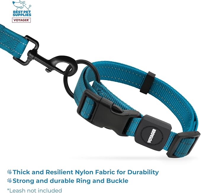 Best Pet Supplies Reflective Dog Collar with Adjustable Length, Heavy-Duty Buckle, and Strong Leash D-Ring, Training, Walking, Jogging Accessory for Small, Medium, and Large Breeds - Turquoise, S