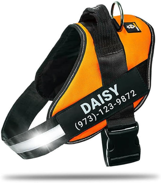 Personalized No-Pull Dog Harness with Name Patch, Adjustable, Reflective, Padded, Heavy Duty Pet Vest to Prevent Tugging, Pulling, or Choking, Training and Walking, Orange, S