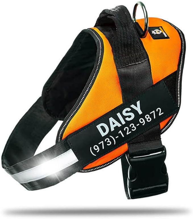 Personalized No-Pull Dog Harness with Name Patch, Adjustable, Reflective, Padded, Heavy Duty Pet Vest to Prevent Tugging, Pulling, or Choking, Training and Walking, Orange, L