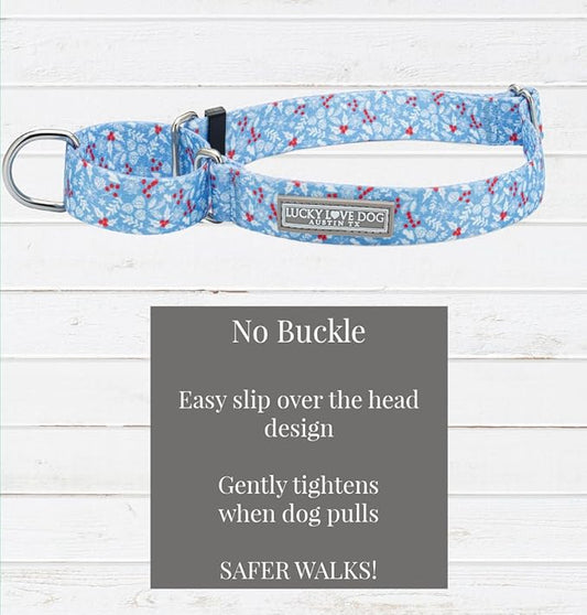 Lucky Love Dog Winter Themed Martingale Collar, Premium No Slip Collar, Snowflake Christmas Martingale Collar for Small Dogs - (Winterblue No Slip, S)