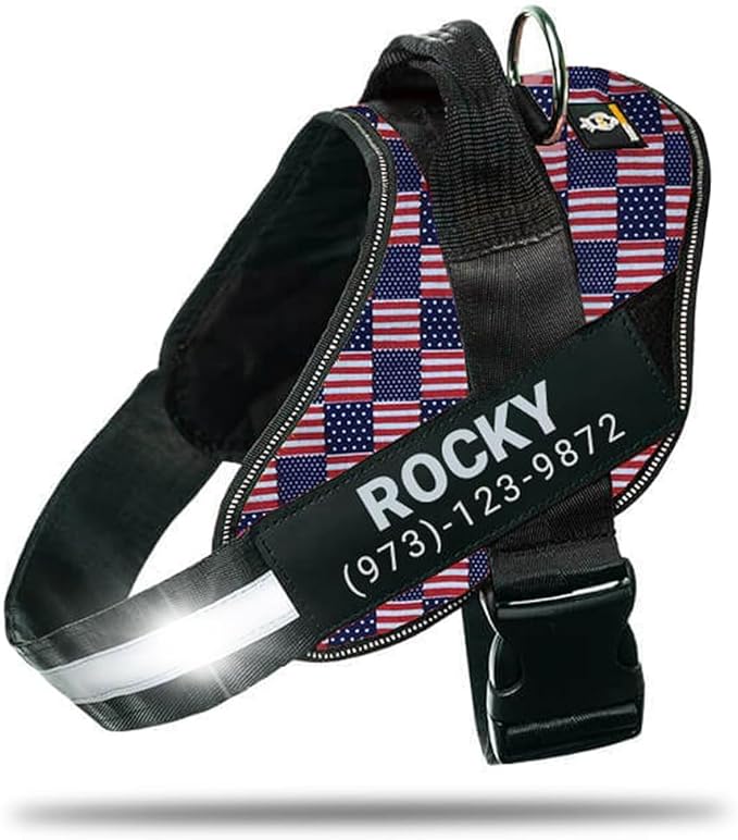 Personalized No-Pull Dog Harness with Name Patch, Adjustable, Reflective, Padded, Heavy Duty Pet Vest to Prevent Tugging, Pulling, or Choking, Training and Walking, US Flag, S
