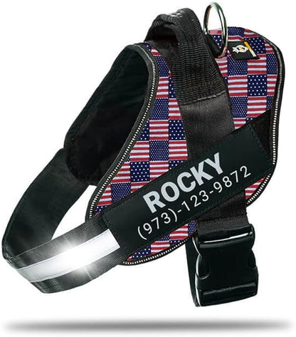 Personalized No-Pull Dog Harness with Name Patch, Adjustable, Reflective, Padded, Heavy Duty Pet Vest to Prevent Tugging, Pulling, or Choking, Training and Walking, US Flag, S
