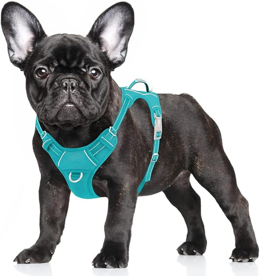 BARKBAY No Pull Dog Harness Large Reflective Dog Harness with Front Clip and Easy Control Handle for Walking Training Running with ID tag Pocket(Ocean Blue,S)
