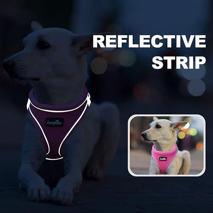 haapaw Dog Harness with Leash Set, No Pull Adjustable Reflective Step-in Puppy Harness with Thickened Padded Vest for Extra-Small/Small Medium Dogs