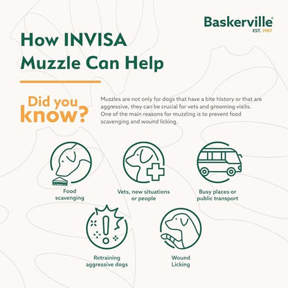 Baskerville INVISA Basket Dog Muzzle - Patented Humane Design with Facial Visibility, Padded Nose Band, Dog can Pant and Drink, Prevents Biting and Scavenging. Muzzle for Large Dogs (Size 6)
