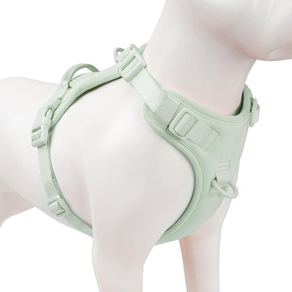 No Pull Dog Harness, Puppy Vest with Front Clip for Small Medium Large Sized Dog(Light Green,S)