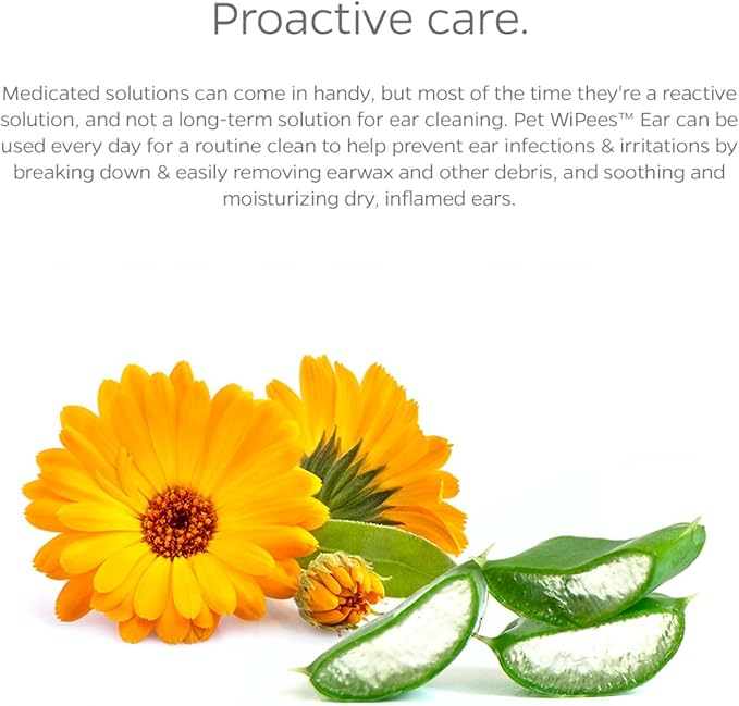 Ear Pet WiPees™ – Ear Wipes for Dogs & Cats, Dog Ear Wipes for Infection & Itchy Ears, Gentle Cat & Dog Ear Cleaner for Daily Hygiene (Natural, 100ct)