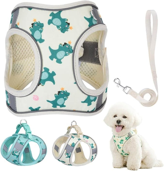 Step in Dog Harness and Leash Set, Flower Adjustable Easy Walk Puppy Harnesses, Soft Mesh No Pull Pet Vest Harness for Small Medium Dogs(Beige, S)