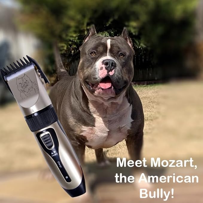 Professional Electric Cordless Shaver Trimmer/Clipper for Dogs, Cats, and Other Animals - Rechargable Battery with Long Life, Low Noise - Toolkit Included