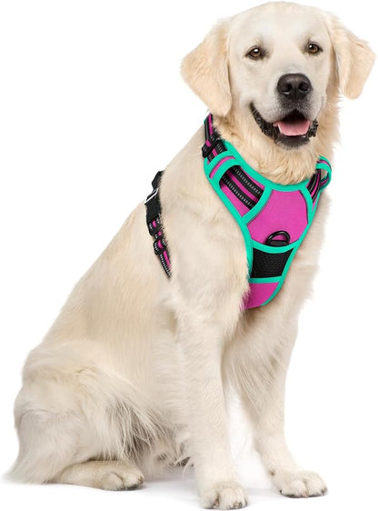 rabbitgoo Dog Harness No Pull with 2 Leash Clips, Adjustable Soft Padded, Reflective Oxford No Choke Pet Vest with Easy Control Handle for Large Dogs, Hot Pink & Turquoise, XL