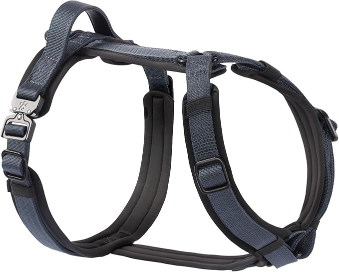 PawsPassion Dog Harness for Large Dogs, No Pull Dog Harness Easy Walk with Metal Hardware, Ergonomic Y-Shaped Design, Soft Padding, Padded Handle, Durable High-Tensile Nylon (Nightfall, L)