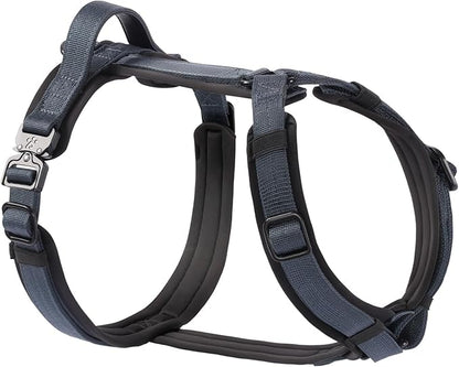 PawsPassion Dog Harness for Large Dogs, No Pull Dog Harness Easy Walk with Metal Hardware, Ergonomic Y-Shaped Design, Soft Padding, Padded Handle, Durable High-Tensile Nylon (Nightfall, L)