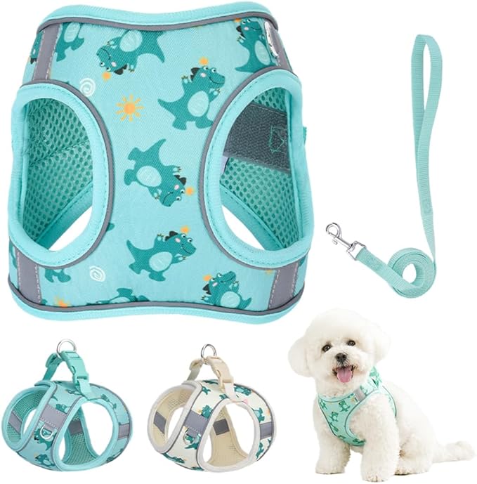 Step in Dog Harness and Leash Set, Flower Adjustable Easy Walk Puppy Harnesses, Soft Mesh No Pull Pet Vest Harness for Small Medium Dogs(Green, M)
