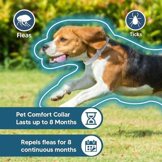 Flea Collar for Dogs, 8 Months Protection Flea & Tick Collars for Dogs, Dog Tick Collar, Adjustable One Size Fits All 2 Count ﻿