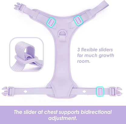 No Pull Dog Harness, Puppy Vest with Front Clip for Small Medium Large Sized Dog(Light Purple,M)